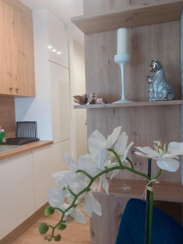 Jaworska 4 Apartments Wroclaw, Wroclaw
